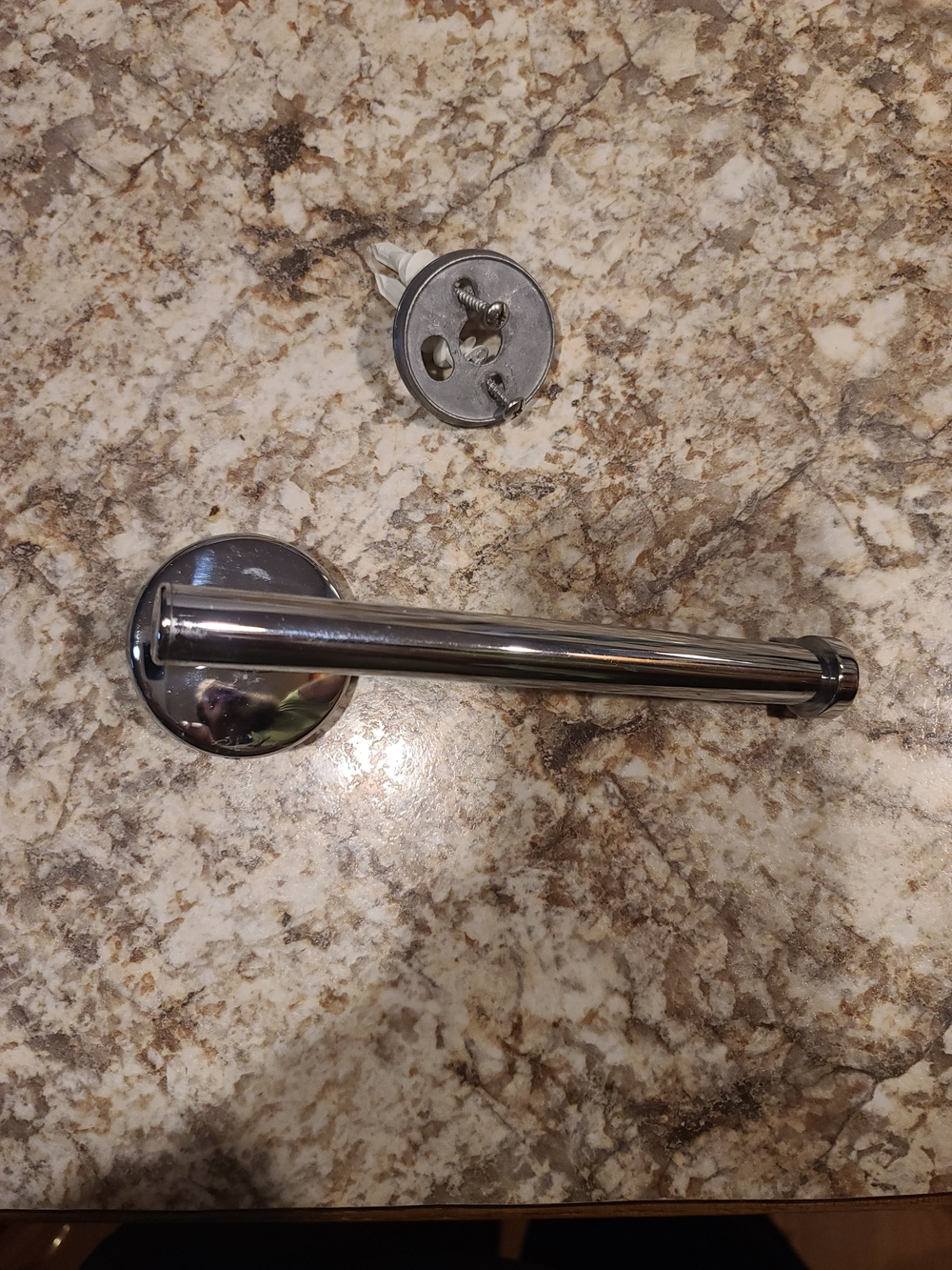 Chrome Wall-Mounted Toilet Paper Holder
